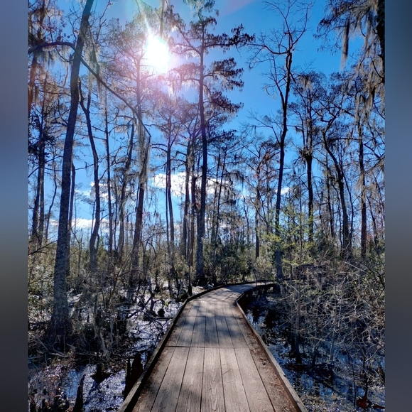 Hi, I'm Amida. - Picture 5 of 10